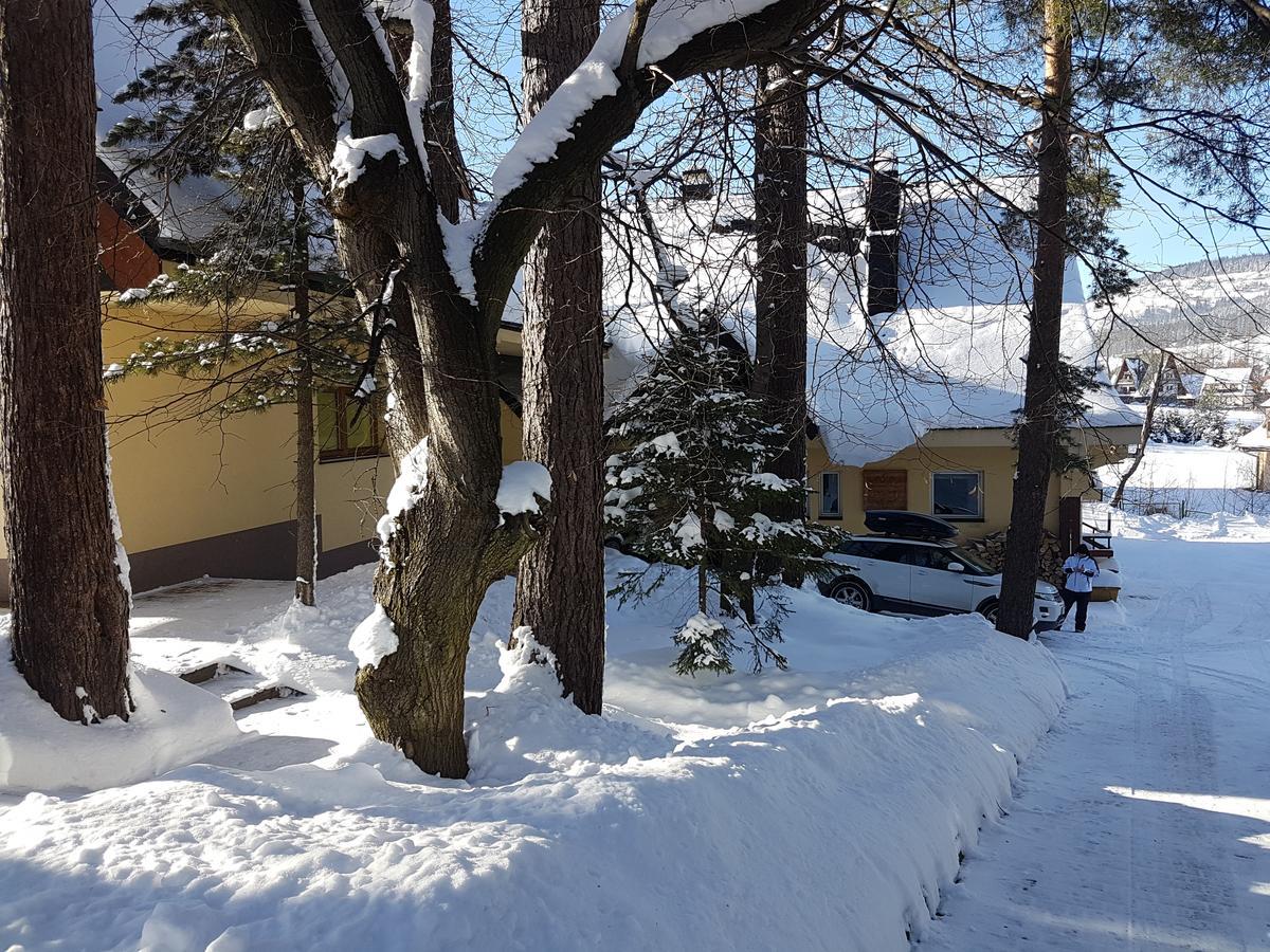 Willa Sunshine Zakopane Chalet 외부 사진