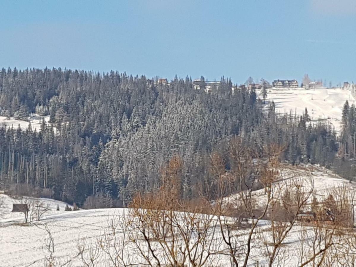 Willa Sunshine Zakopane Chalet 외부 사진